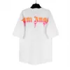 Palm Pa 24sss Summer Rainbow Palm Letter Printing Logo Camise