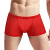 Sous-pants pour hommes sexy lingerie transparente bac à taille basse boxer brèche bouchette des troncs de sous-vêtements