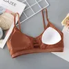 SDMB Underwear ativo New Women Cotton Cotton Sports Bra Tubo Top Crop Crop FE FELE Sem costura Tubo Bra sem fio Bralette Sexy Lingerie Cropped Bandeau D240508