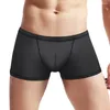Sous-pants pour hommes sexy lingerie transparente bac à taille basse boxer brèche bouchette des troncs de sous-vêtements
