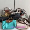 Mini Longxiang Bucling Dugpling Bag Handheld Crossbody الكتف الموضة مقبض الصلب رمادي نساء