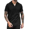 T-shirts masculins 2024 Summer Waffle V-Neck Polo