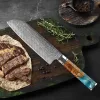 Couteau Damas Santoku 7 pouces de cuisine tranchante Couteaux de chef Japonais Damas Damas Steel Couteau pour la cuisson à la coupe de viande de légumes