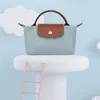 Mini Longxiang Bucling Dugpling Bag Handheld Crossbody الكتف الموضة مقبض الصلب رمادي نساء