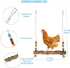 Ensemble de jouets de poulet PCS avec cloches transfrontalières, cordes de fruits, miroirs, échelle de coq pour animaux de compagnie et jouets pour oiseaux prêts à l'emploi en gros "