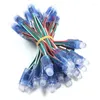 Chaînes dc5v 12 mm Longueur 15cm LED WS2811 Pixel Module 50pcs RVB Fleu Color String Digital Ip68 pour la décoration extérieure