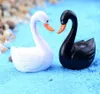 100 pezzi Resin Whiteblack Swan Miniatures Accessori paesaggistici per decorazioni per il giardino domestico Crappatura Craft Garai1257831