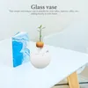 Vases Water Plant Vase Transparent Glass Flowerpot Avocado Seed Starter Hydroponic