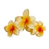 Clipes de cabelo Flores de praia exclusivas Claw Barrettes Acessório Ornamento colorido feminino feminino 4xbf