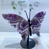 Sonho natural Amethyst Butterfly Wings Crystal com Stand Energy Gemstone Healing Stone 240430