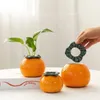 Vasen 1PC Keramik Orange Hydroponic Vase Home Tabletop Dekoration Dekorationen Obst Pflanzer Große Wohnzimmerdekoration