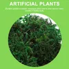 Fleurs décoratives Simulation de lichen de mousse artificielle faux vert pour décoration de terrasse (20 g / petit paquet) Rold MOOS