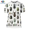 Mens camisetas Sonspee Summer Casual Men T-shirt Insets Birds Printing 3D T Camisetas unissex Tops