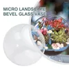Vasen Mikrolandschaft Glas Vase Sukkulente Pflanze klare Terrariumbehälter Blütenblüten 8 cm/4,5 cm 10 cm/6 cm 12 cm/7 cm Wohndekoration