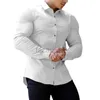 T-shirts pour hommes plus t-shirts Polos Muscle Fitness Brothers Business Men's Business Work Professional Travail Summer Wrinkle Resistant White Shirt Long Mancheve Shirt Plus Tees