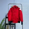 Designer Mens Down Jacket Red and Black Label Winter Parka Grande Veste à capuche en fourrure Veste à capuche Hiver Doudoune Canada