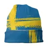 Berets National Flag Skullies Beanies Caps Zweeds design Dunne hoed Sport Sport Bonnet Hats voor mannen Women