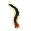 Remote Control Animal Centipede Creepycrawly Prank Funny Toys Gift For Kids 240506