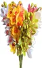 Фальшивая настоящая сенсорная орхидея Cymbidium 10 головы моделирование 3D -печать хорошего качества латексная орхидея цветок для декоративного искусственного потока 9750055
