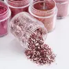 Paillettes à ongles 10g plongeon argent poudre de rose rose brillant pigment poussière art art paillettes paillettes décorations accessoires de manucure