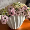 NordicModern Shell Design Ceramic Vase Biscuiting Conch Flower Planter Arrangement Creative Desktop Ornaments Home Decor 240430