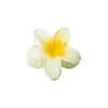 Clips de garra del cabello de flores, clips de garra de la flor de las flores hawaianas para mujeres delgada del cabello rizado grueso delgada, el clip de la mandíbula fuerte de los 90, accesorios para el cabello para mujeres 2405096