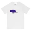 24SS-Sommer-Designer-T-Shirts für Herren Frauen T-Shirts mit Buchstaben Mode T-Shirt Kurzärmelte Tees Top 10a