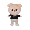 Fábrica Precio al por mayor 8 Estilos de 20 cm Skzoo Plush Toys Leeknowk Hyunjin Animación Regalos de muñecas periféricas para niños