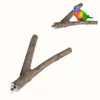 Andere Vogelversorgungen 2pcs Holz Papagei Ständer Baumzweige Hängende Spielzeug Eichhörnchen Hamster Barchen Kautbissstock