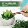 Decorative Flowers Artificial Green Plants Eternal Life Perlite For DIY Crafts Grass Garden Home Room Decor Mini Landscape Fake Indoor