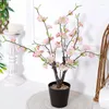 Fleurs décoratives 1pc-37 cm de prune simulées de salon de salon décoration réelle tactile fleur artificielle cadeau de la fête des mères