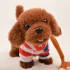 Elektrisches Kleid Creative Pudel kann ein Lied Kinderspielzeughund Geschenk Plüsch Puppe 240426 singen