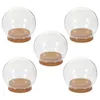 Vasen 5 PCs erhalten Blütenabdeckung Mini -Kuchen -Stand Cupcake Container Vase Glass Dome schmücken mit Basisschutzverzierung