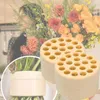Flessen spiraalvormige stengelhouder voor vaasbloemarrangement Ikebana Bouquet Floral Arranger
