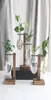 Hydroponiczne wazę przezroczyste szklane biurko kwiat drewniana rama pojemnik na stole artykuły wyposażenia do dekoracji domowej 57993763