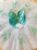 Vestido profissional de desempenho de balé infantil Tutu Shairgen Galze Skirt Girls Swan Lake Ballet Performance Dress 240509