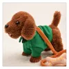 Электрическое платье Creative Poodle может петь песню Childrens Toy Dog Pired Pirech Doll 240426