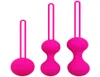 Réglez la balle intelligente en silicone Smart Kegel ben wa vagin serrer la machine d'exercice vaginale geisha sex toys for women7570952