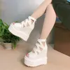 Scarpe eleganti 14 cm Versione primavera ed estate coreana di sandali femminili pesce boccola tallone a cuneo spesso pantofole con tacco alto