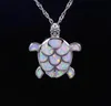 Hela detaljhandelsmodemycken fin vit eld opal havssköldpadda sten skivhängen och halsband för kvinnor pj170827132782421