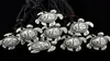 Jewelry Whole 12PCSLOT Tribal Totem Faux Bone Resin Carved frog sun Sea Turtle Pendant Necklace Tortoise Amulet Talisman Gift9857184