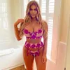 Fun Lingerie Sexy Women's Colorful Embroidery Underwear Set Three Point Style