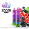 Bang 20000 Puffs E-liquide Capacité de 25 ml de batterie Capacité de batterie 850mAh Puffes 20000 Type C Charge Bang 15000 Puffs Bang Box