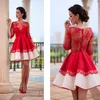 Vestidos de coquetel curto Red Mangas meia -mangas Vestidos de regresso a casa de renda cheia jóia vestidos de festa noturna de jóia veja as costas 273p