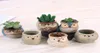 Cartoon Owlshaped Flower Pot for Succulents Fleshy Plants Flowerpot Ceramic Small Mini HomeGardenOffice Decoration HH78567633382