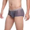 Sous-pants hommes sous-vêtements sexy Voir à travers le sac Mesh Transparent Tulle Flat Angle Men's Cool
