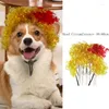 Dog Apparel Pet Wigs Cosplay Props Prank Supplies For Party Cat Cross Dressing Hair Set Pography Funny Head Accessories