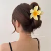 6 Pack grote bloemenhaar klauwclips, Hawaiiaanse bloemenhaar klauwclips voor vrouwen dun dik krullend haar, 90's sterke houd kaakclip, haaraccessoires voor vrouwen 2405096