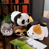 Simulazione di peluche di peluche di peluche di grattugiata bambola gatto kawaii maiale newt peluche giocattolo per bambini bambini che dorme bambola comfort ragazza cuscino morbido dono di Natale cuscino