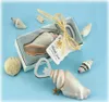 30pcs Sea Shell Openders Overner ouvre-bouteille Sand Sand Summer Beach The Shower Wedding Favors Gift in Box8359428